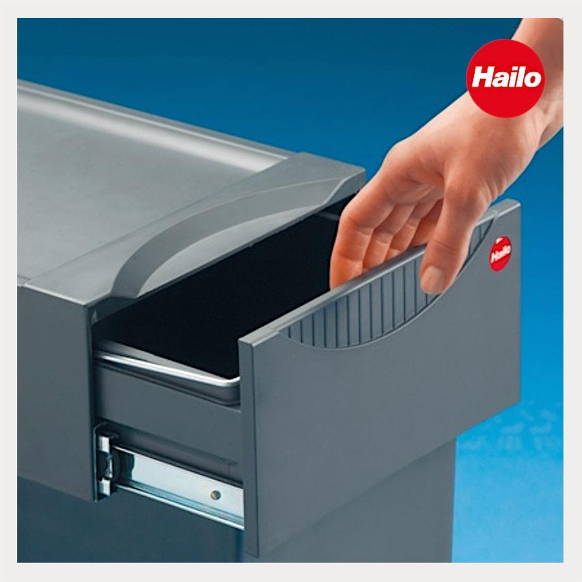 Hailo Abfallsammler 3666102 TA Swing Tandem 2x 15 L PlusBioDeckel