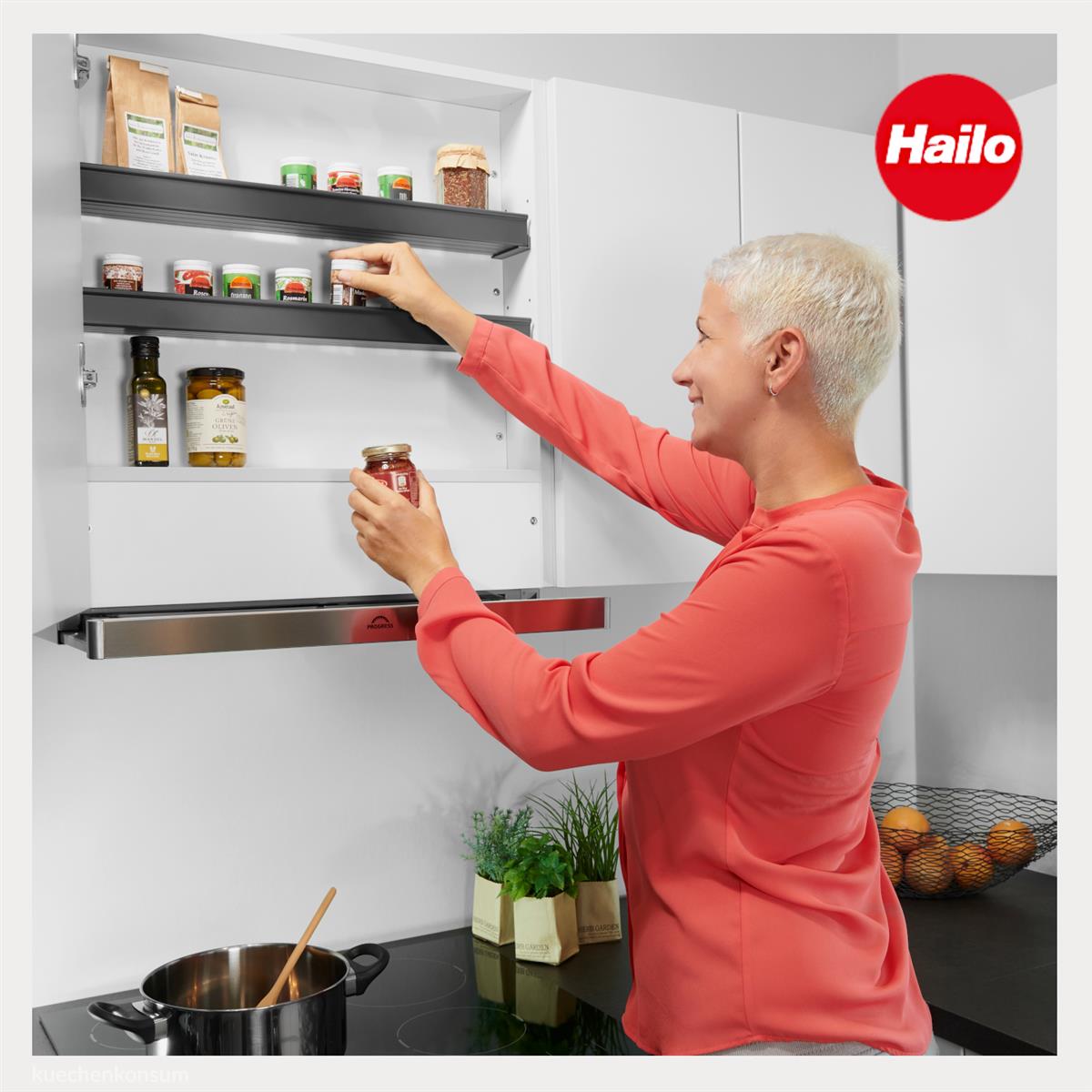 Hailo Regalsystem PAAR 3981951 Deposito für 90er Oberschrank